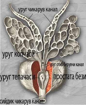 Хомилани уй шароитида тушириш 192